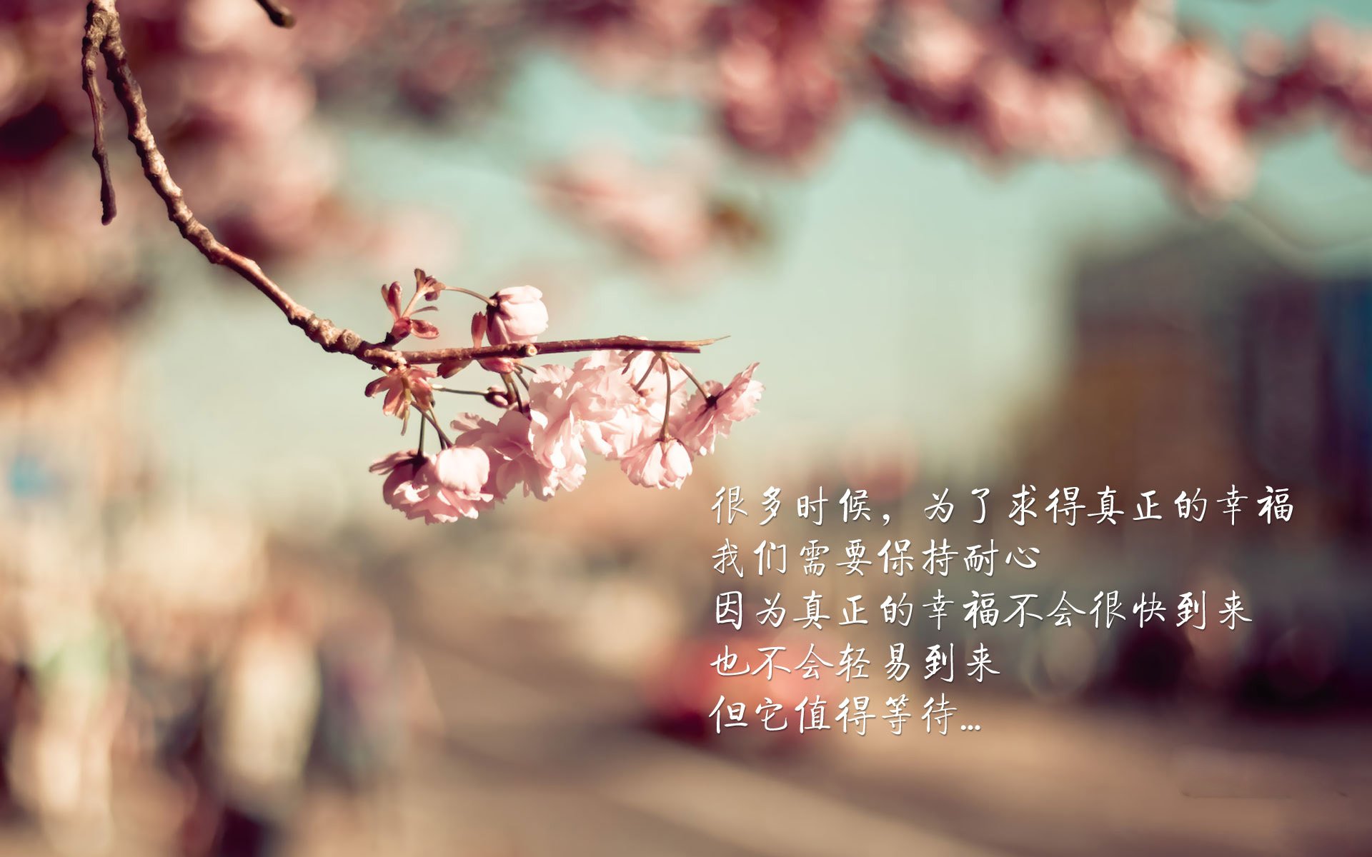 _凯尔特人上演精彩逆转，士气大振_，凯尔特人最新