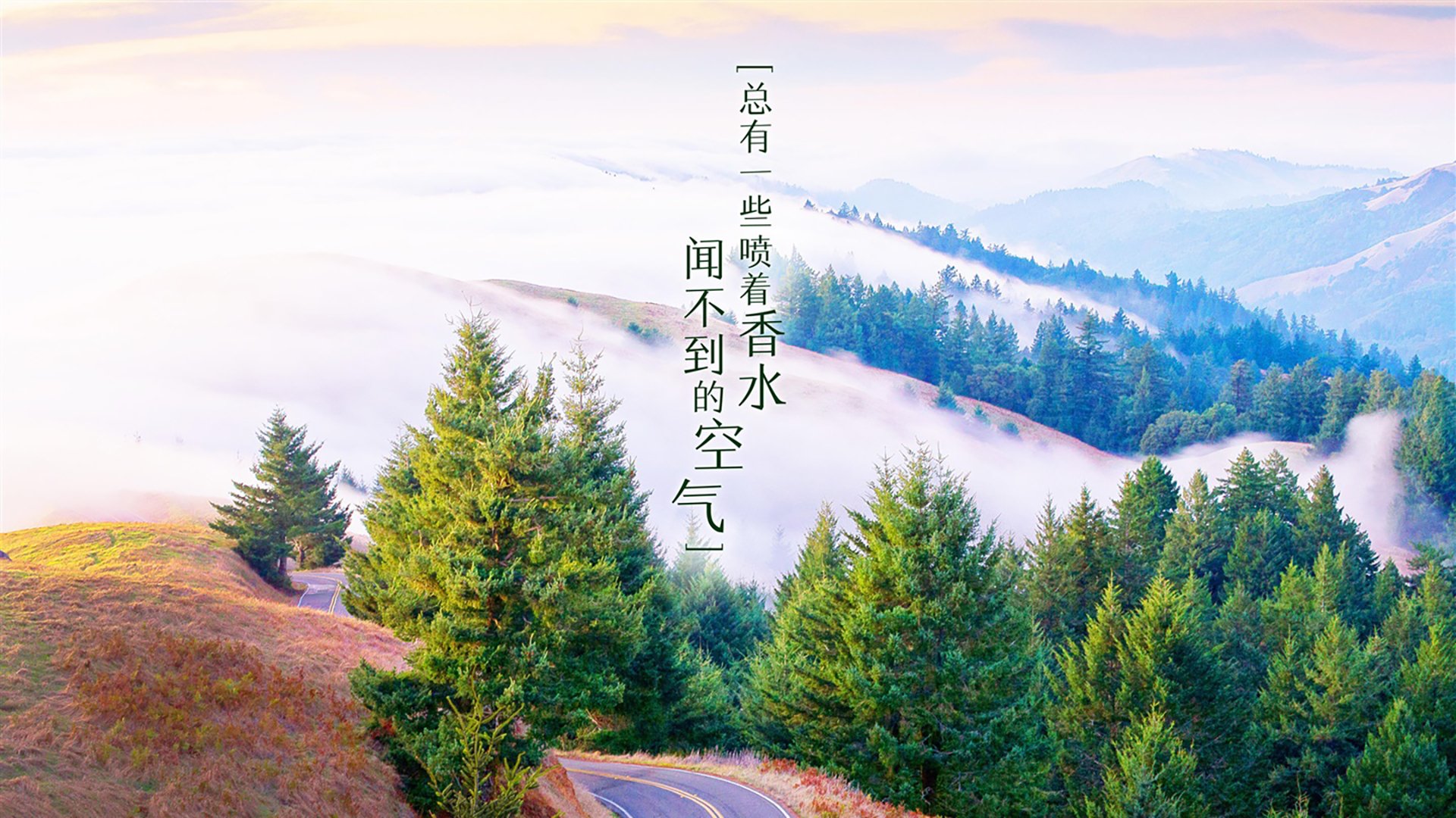 “粉丝狂欢夜，赛事现场气氛火爆，赢得无数荣耀”，粉丝活动中心官网