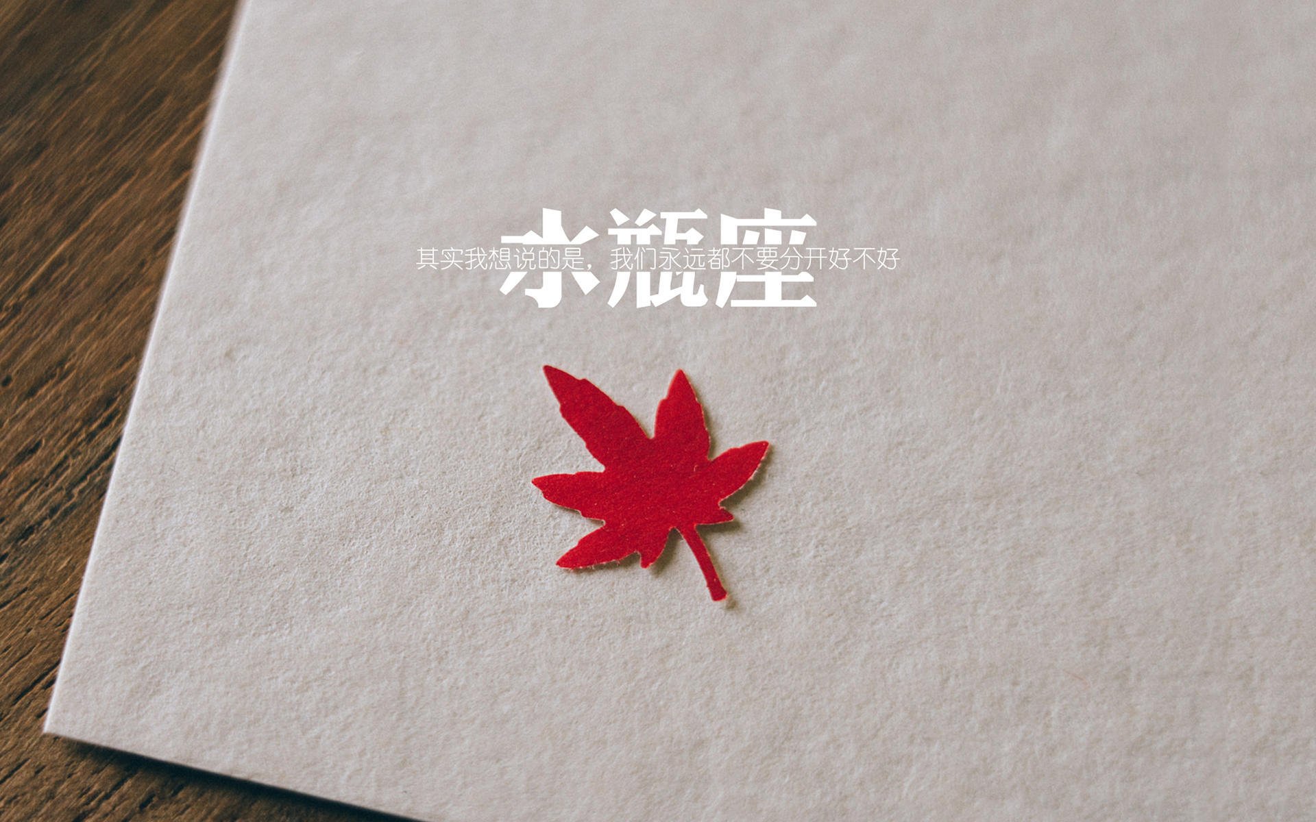 史上最年轻“冠军新星”初登欧冠舞台，最年轻欧冠进球