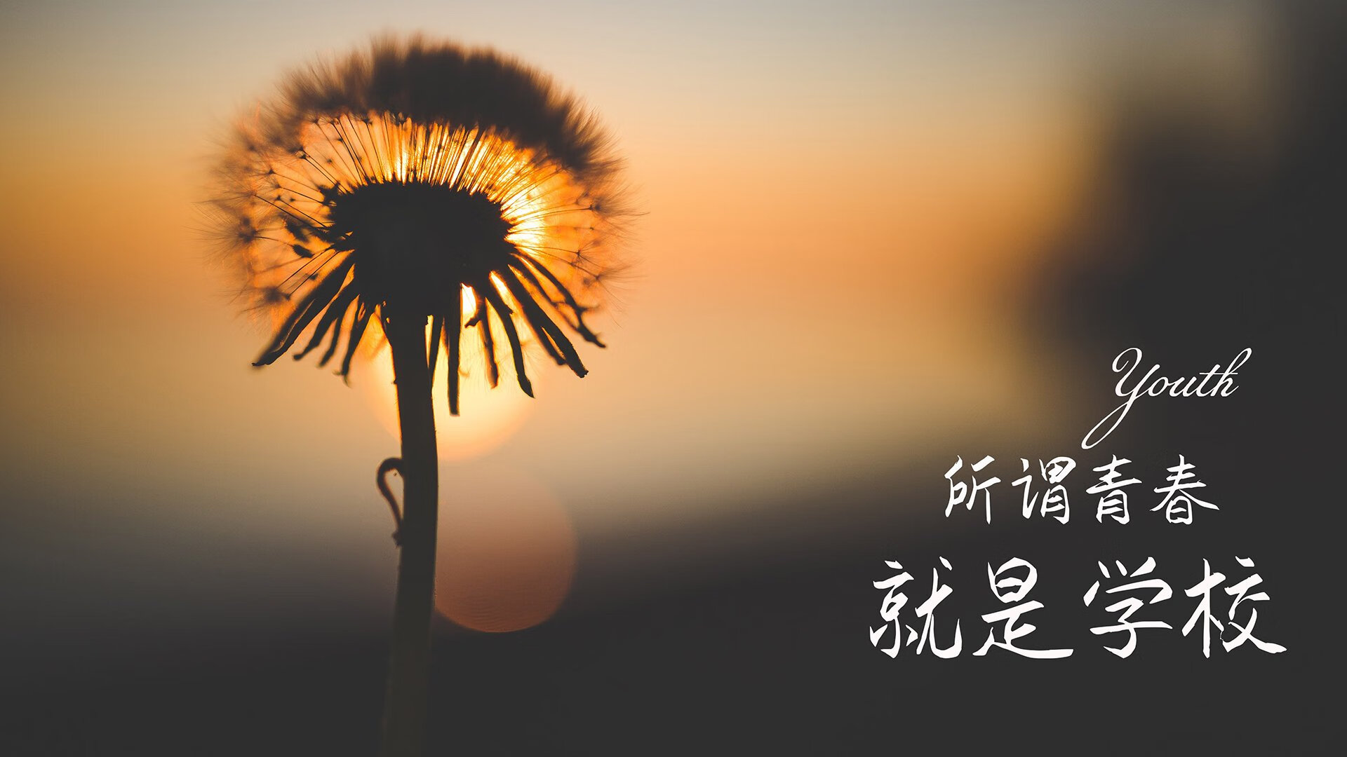 王者荣耀 赛事推广效果显著，王者荣耀 赛事推广效果显著吗