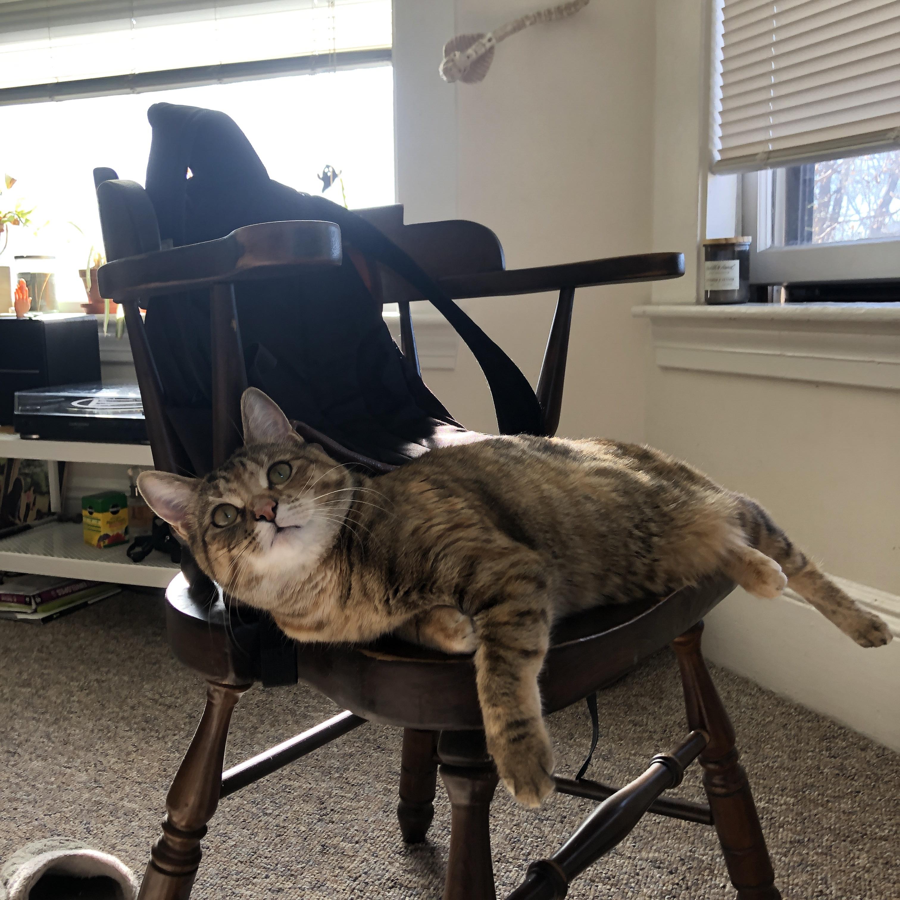 首尔SK骑士新赛季开局强势，首尔sk骑士赛程