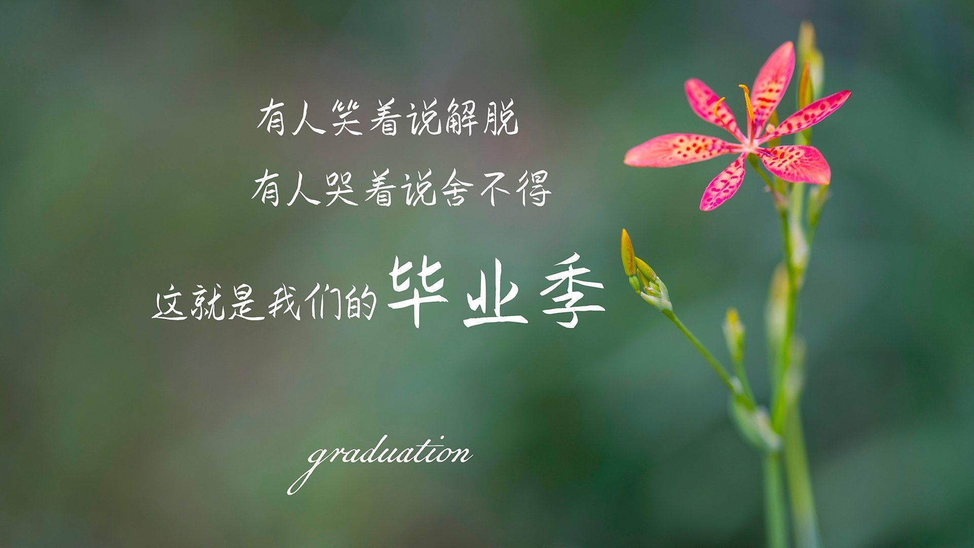 CBA休赛期球员状态管理成为重点，cba休息