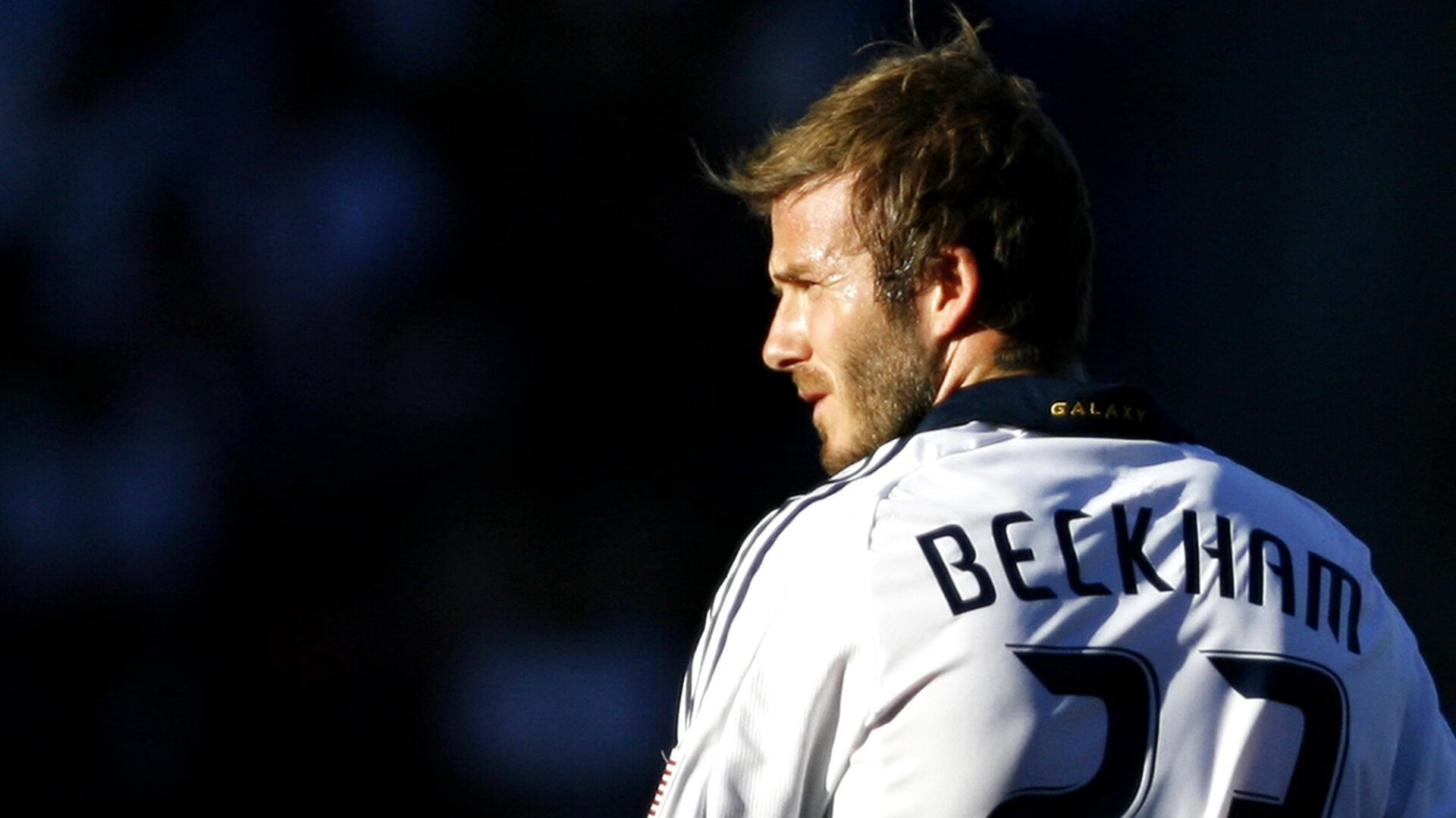 “雪地皇者：冰天雪地中的霸者归来”，雪地黄金